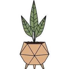 Geometric Terracotta Pot Holds a Tall Green Potted Plant With Pointed Leaves Against a Black Background Indoor Decor Accent