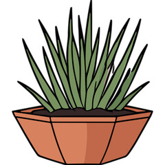 Green Agave Plant in Octagonal Terracotta Pot with Dark Soil and Black Background Vibrant Foliage with Detailed Textures and Sharp Edges