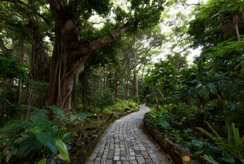 Sunlit Tropical Forest Path with Ancient Trees and Lush Greenery