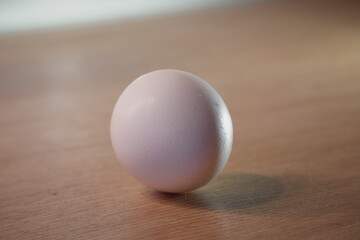 single fresh white chicken egg standing upright on warm wooden table surface with soft natural light creating gentle shadows closeup minimalist composition