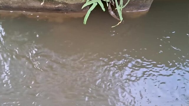 fishing spot in the river when the tide is low
