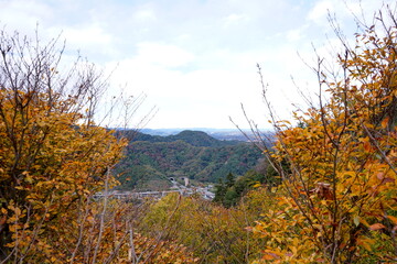 秋の紅葉した木々に囲まれた視界の先に多摩丘陵と中央自動車道のトンネルが見える高尾山からの遠景 © BRUCE