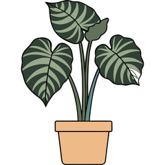 Obraz premium Illustration of a Potted Elephant Ear Plant With Large Green and Dark Green Tropical Leaves and a Tan Pot on a Black Background