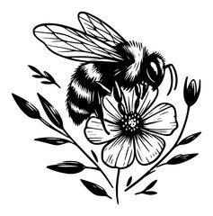 Honey bee gathering nectar on flower blossom vector ink sketch illustration © Luka