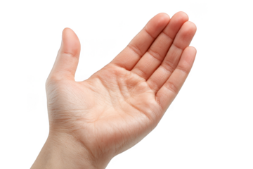Open hand shows palm with fingers extended in gesture