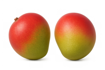Two whole fresh mango fruits showing a gradient of rich red, yellow, and green colors, isolated on a transparent background