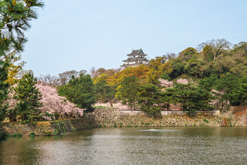 Moat of Wakayama Castle, a Japanese castle located in Wakayama, Kansai, Japan.