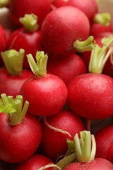 Many fresh ripe radishes as background, closeup