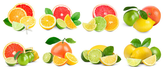 Set of various citrus fruits isolated on white
