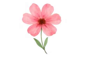 Pink watercolor flower illustration with delicate petals, a central brown pistil, and green leaves, transparent background