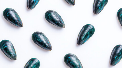 Fresh blue mussel shell pattern on white background with natural texture and glossy surface