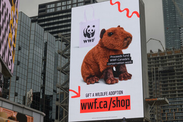 Naklejka premium digital billboard near Sankofa Square featuring an ad by WWF on a cloudy day in Toronto