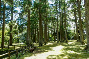 【宮崎】飫肥城
