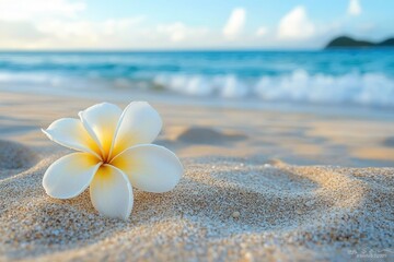 Fototapeta premium Single white and yellow plumeria flower resting on sandy beach with ocean waves and distant island under a blue sky