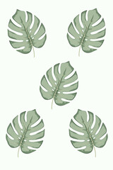 seamless pattern with monstera leaves