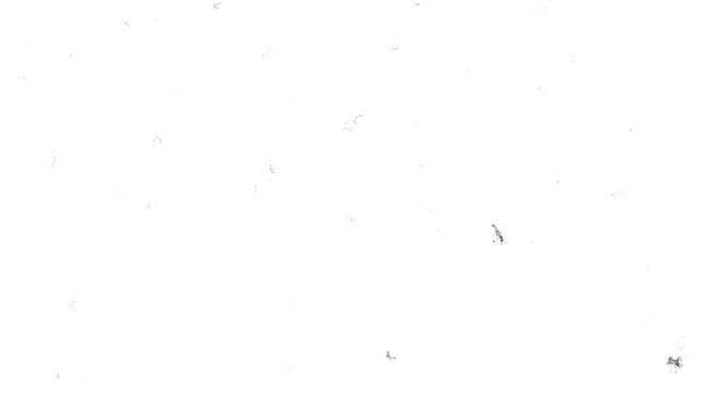 Grungy white background with dust and scratches, creating a vintage film texture that flickers in a stop motion style. A seamless loop for retro overlays and texture for video project.