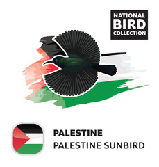 National Bird Set Palestine Sunbird Vector Character