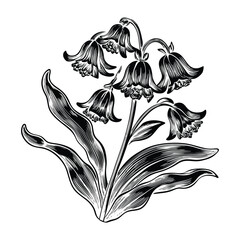 Realistic vector illustration of bluebell flowers for greeting cards invitations and wall art