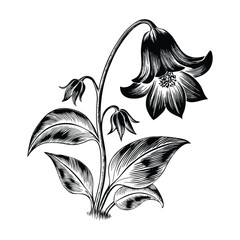 Bluebell flowers vector composition for digital art prints posters and decorative elements