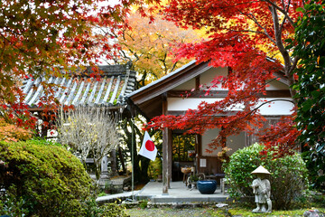 京都 秋の金蔵寺 Konzoji Temple in Autumn (Kyoto, Japan)	
