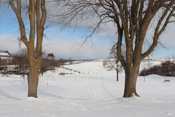 Winter landscape in a park with cross-country ski trail, snow and trees. A park in December in Quebec city in Canada. Winter calendar with landscape. Peaceful landscape with horizon and panorama.