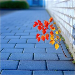 Autumn Leaves Growing Through Pavement