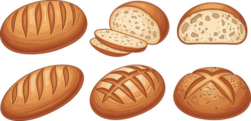 Set of assorted bread loaves including sliced rustic round and artisan styles for bakery food and breakfast vector design