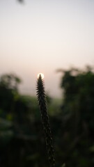 sunset in the mountains