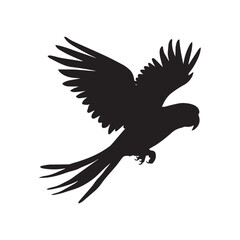 Flying Parrot Silhouette