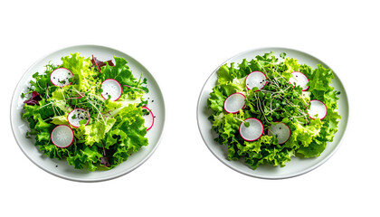 Healthy, rustic presentation of two servings of raw, organic leafy salad mix, featuring dark red and bright green oak leaf lettuce and herbs, top view PNG