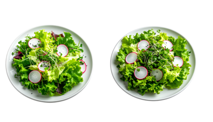 Healthy, rustic presentation of two servings of raw, organic leafy salad mix, featuring dark red and bright green oak leaf lettuce and herbs, top view PNG