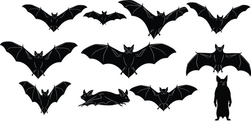 Fototapeta premium Different Poses and Angles of Mammal Outlines Collection for Halloween