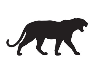 Indian Leopard in silhouette white background.