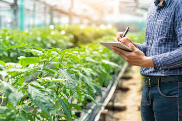 A person is documenting plant growth in a greenhouse, surrounded by lush green plants, using a tablet for notes.