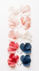Colored Flower Petals Arranged on White Background