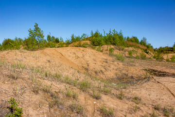 Obraz premium Sandy mining pit slowly reclaims nature under bright blue summer sky, showing small trees and sparse grass growth