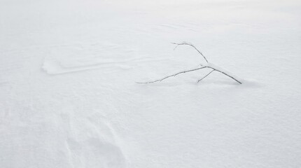 A thin, bare twig rests on a smooth, white snow surface. The scene conveys a sense of winter tranquility and simplicity.