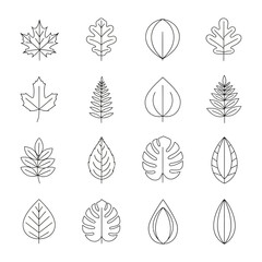 Line Art Leaf Collection