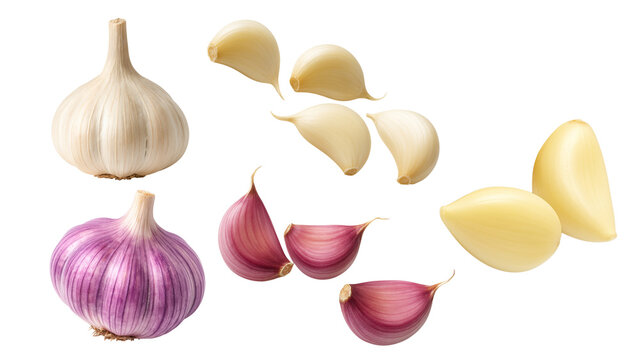 Set of white and purple garlic bulbs with whole and peeled cloves isolated
