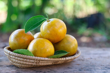 Fresh oranges in a woven basket, placed on aged wooden boards, clean and simple layout.