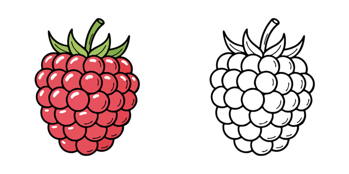 シンプルなラズベリーのアイコンイラスト