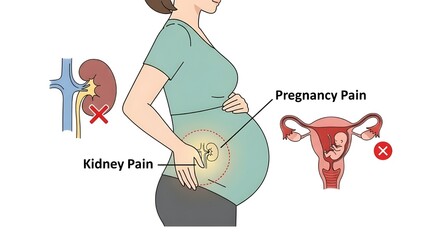 Understand pregnancy discomfort with kidney and uterus pain anatomy, explore pregnancy related health issues and visualize how to manage common pain points