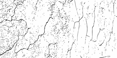 Minimal white cracked wall texture with fine lines, subtle grain, and natural aging details. High-resolution grunge background ideal for design, overlays, and creative surface effects.