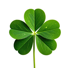 Lucky four-leaf clover with vibrant green leaves on a black background