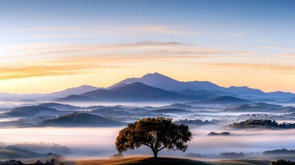 Lone Tree Silhouetted at Sunrise Over Misty Hills