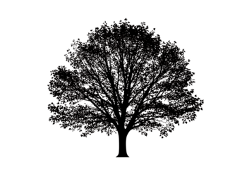 Detailed tree silhouette with vibrant foliage texture and a distinct white outline