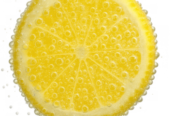 Sparkling lemon slice with carbonated bubbles, refreshing citrus fruit for healthy drinks, transparent background