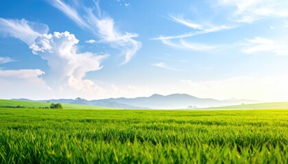 Rolling green fields under blue sky