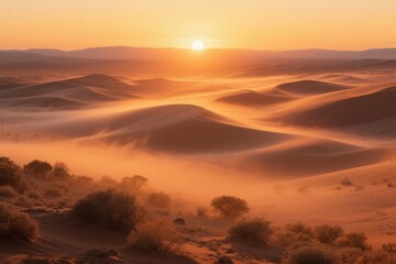 Sunset over vast sand dunes in a desert landscape with warm golden light and scattered shrubs