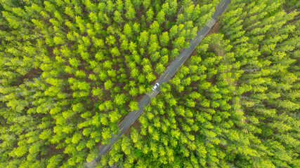 Aerial view of dark green forest road and white electric car Natural landscape and elevated roads Adventure travel and transportation and environmental protection concept	